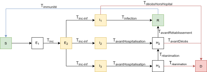Schéma de principe du modèle à compartiments pour COVID-19 : Timings